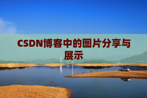 CSDN博客中的图片分享与展示